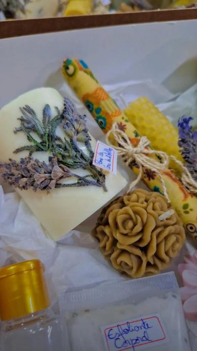 Sindicato Rural de Laranjeiras do Sul oferece curso gratuito sobre Artesanato com Produtos Apícolas 